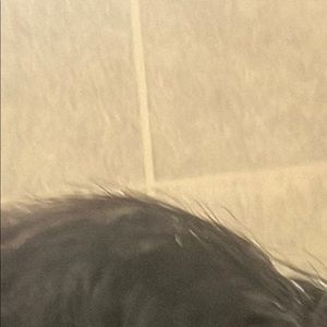 Meet your Posher, Derek